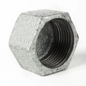 Заглушка чугун оц ду 50 (2") вр арт.1218083 заглушка